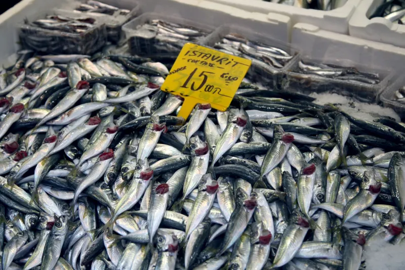 The Flavor Underdog: Why Nagasaki's Cheaper Fish Punch Way Above Their Weight on Umami
