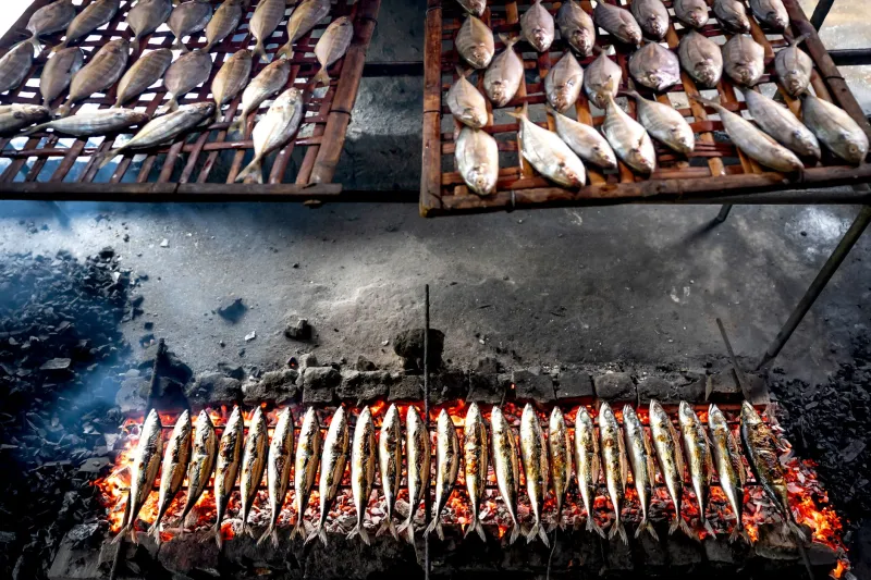 Eating Like a Nagasaki Fisherman: The 'Worthless' Catches That Actually Taste Better Than the Fancy Stuff